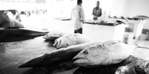 Stone town